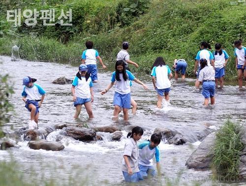 계곡에서 물놀이하는 아이들